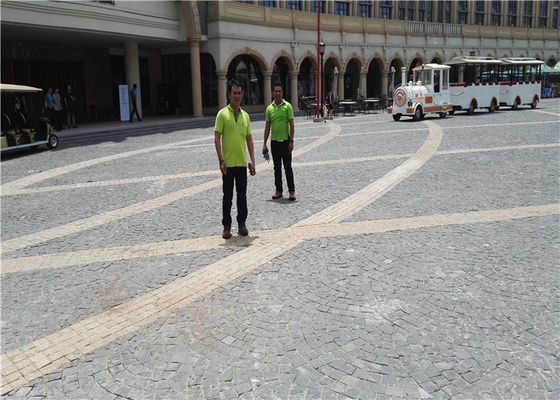 Conveyor Belt Vulcanizer for Belt Joint at Temperature Range of 0-200C and Curing Temperature of 145-199 Degree